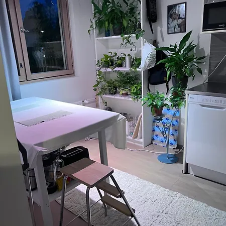 One Room, Kitchen, Balcony 아파트 *